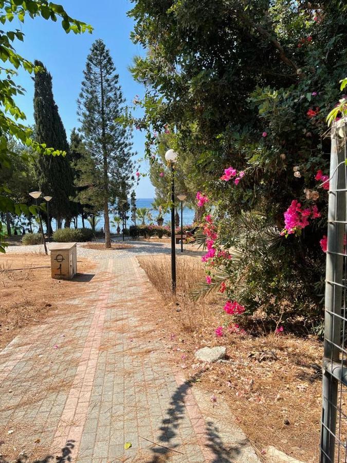 Samson Sea Breeze, 3Bed Sleeps 6, Free Wifi Διαμέρισμα Λεμεσός Εξωτερικό φωτογραφία
